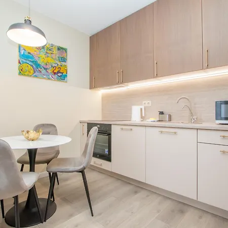 City Center Karoso Apartment, Free Parking Klaipeda Exterior photo